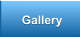 Gallery Gallery